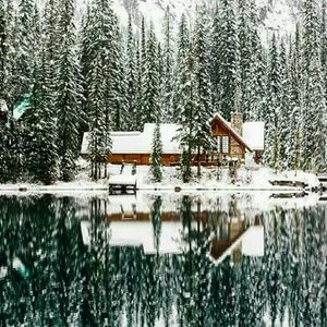 Meet your Posher, Cynthia